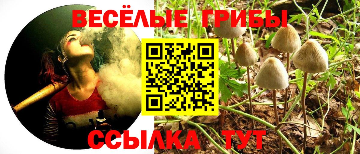 Псилоцибиновые грибы Cubensis  Вход с VPN  Галлюциногенные грибы GOLDEN TEACHER  Ржев 