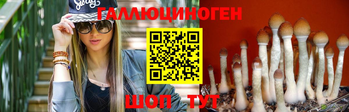 Псилоцибиновые грибы MAGIC MUSHROOMS Ржев
